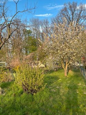 Foto - Grundst&uuml;ck zur Miete in Bautzen