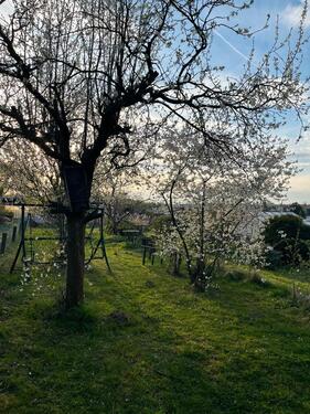 Foto - Grundst&uuml;ck in Bautzen