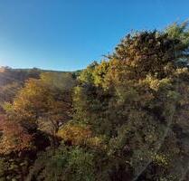 1-Zimmer Appartement mit Blick ins Grüne - Saarbrücken Scheidt