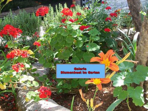 Foto - andere in Haßloch