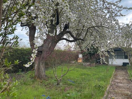 Foto - Grundst&uuml;ck in Mühlhausen (Thüringen)