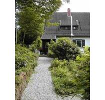 kleine Perle im Odenwald zu verkaufen (Einfamilienhaus) - Neckarsteinach