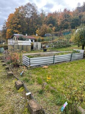 Foto - Grundst&uuml;ck zur Miete in Zella-Mehlis