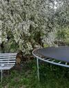 Foto - Einfamilienhaus in Treffurt