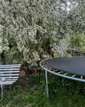 Foto - Einfamilienhaus in Treffurt