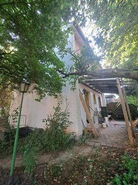 Foto - Doppelhaushälfte mit Charm in einem wild-grünem Ambiente in 92237