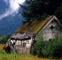 Sanierte zwei Familien Haus mit Einliegerwohnung - Dresden Pieschen