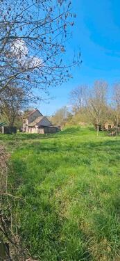 Foto - Einfamilienhaus in Weißenfels zum Kaufen