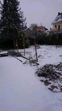 Foto - 