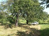 Foto - Baumwiese Freizeitgrundstück Garten