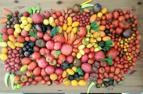 Foto - Kleingarten - 1.200,00&nbsp;EUR Kaltmiete, ca.&nbsp; 0,00&nbsp;m&sup2;