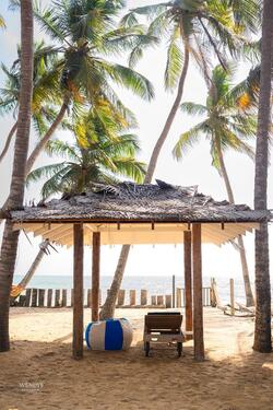 Foto - Strandhaus, Seniorenresidenz Ferienhaus Sri Lanka Mieten
