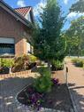 Foto - 8 Zimmer Doppelhaushälfte in Neustadt am Rübenberge