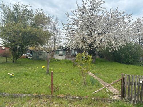 Foto - Pachtgarten, Kleingarten - 250,00&nbsp;EUR Kaltmiete, ca.&nbsp; 0,00&nbsp;m&sup2;