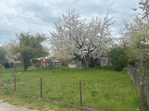 Foto - Grundst&uuml;ck zur Miete in Mühlhausen (Thüringen)
