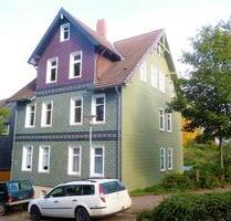 2,5-Zimmer-Wohnung mit Einbauküche direkt am Zentrum! - Clausthal-Zellerfeld