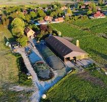 Laufstall oder Lagerhalle - 350.000,00&nbsp;EUR Kaufpreis, in Upgant-Schott (PLZ: 26529)