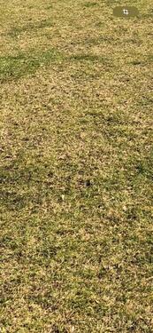 Foto - andere zur Miete in Eberdingen