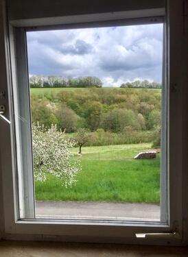 Foto - 3.5 Zimmer Hochparterre in Burkardroth