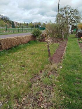 Foto - Grundst&uuml;ck zur Miete in Eisenach