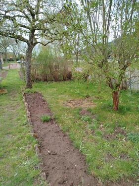 Foto - Grundst&uuml;ck in Eisenach zur Miete