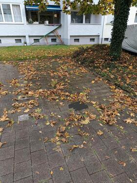 Foto - Parkplatz zu vermieten - 40,00 EUR Miete,