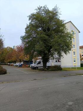 Foto - andere in Lörrach