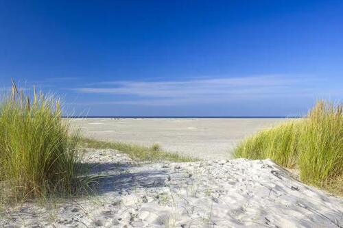 Foto - SommerSonneStrand - perfekte Erholung in Renesse
