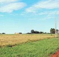 Neue Grundstücke & Gemeinschaft Paradies Paraguay - Frankfurt am Main Sachsenhausen