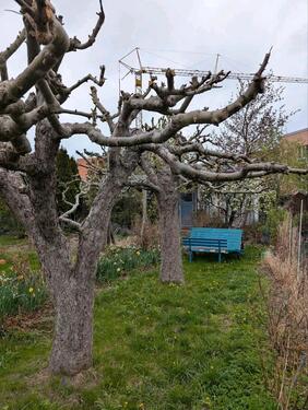 Foto - Grundst&uuml;ck in Bautzen zur Miete