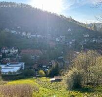 Waldhütte zum vermieten auch für 2 Personen - Ruhla