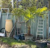 Auf-und Abbaubare Garage mit Garagentor - Oberhausen Alstaden