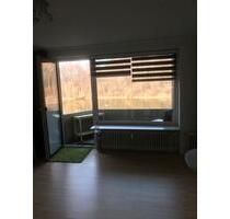 1-Zimmerwohnung mit Balkon mit tollen Blick auf den Klusteich - Goslar