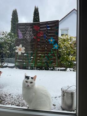 Foto - 2 Zimmer Erdgeschoßwohnung zur Miete in Annweiler am Trifels