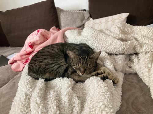 Foto - 2 Zimmer Erdgeschoßwohnung in Annweiler am Trifels