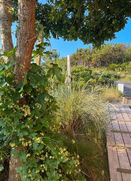 Foto - andere zur Miete in Taarstedt