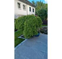 Haus in Kelkheim - 1.000.050,00&nbsp;EUR Kaufpreis, ca.&nbsp; 150,00&nbsp;m&sup2; in Kelkheim (Taunus) (PLZ: 65779)