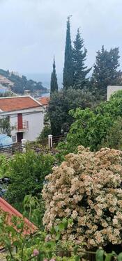 Foto - Villa in Asselfingen zum Kaufen