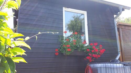 Foto - Grundst&uuml;ck in Aue-Bad Schlema