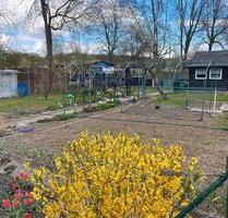 Schrebergarten zur Pacht - 2.000,00&nbsp;EUR Kaltmiete, ca.&nbsp; 0,00&nbsp;m&sup2; in Hildesheim (PLZ: 31139) Bockfeld