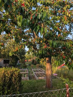 Foto - Schrebergarten KLGV Mastbruch 400qm