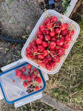 Foto - Grundst&uuml;ck in Braunschweig