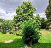 helle 2- Raumwohnung auf Gartenebene - Meißen