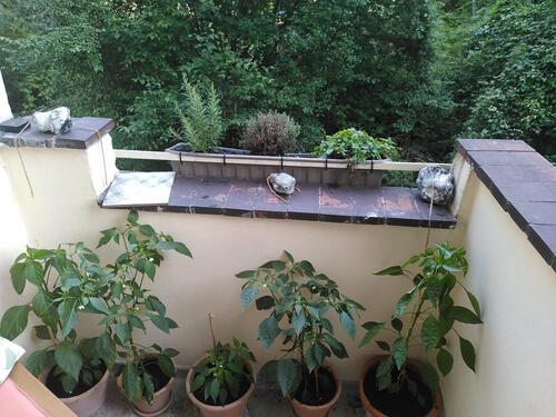 Foto - 1 Zimmer Etagenwohnung in Berlin