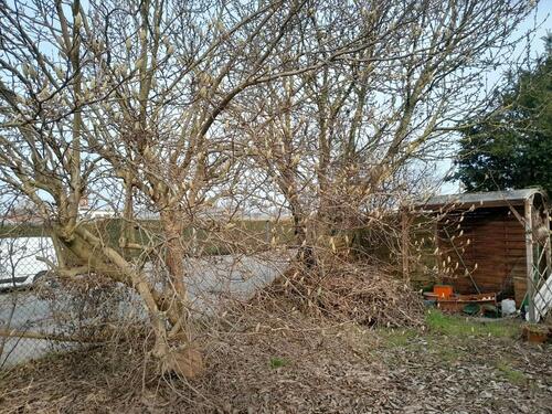 Foto - Grundst&uuml;ck in Hannover zur Miete