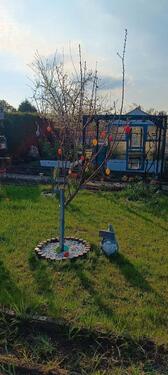 Foto - Grundst&uuml;ck in Halle (Saale)