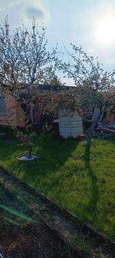 Foto - Grundst&uuml;ck in Halle (Saale) zur Miete