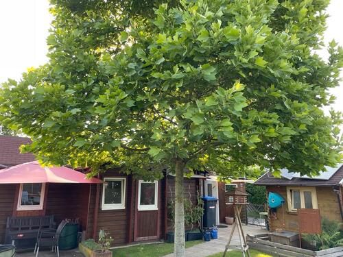 Foto - Einfamilienhaus in Versmold zum Kaufen