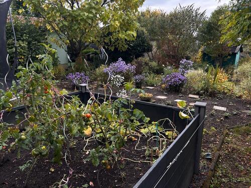 Foto - Kleingarten Probstheida - 350 qm, Laube, Strom, WC