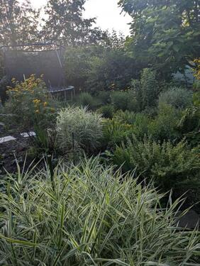 Foto - Grundstück in Leipzig